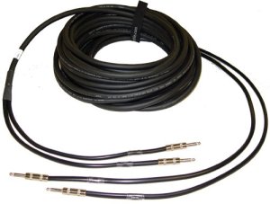 Dual Channel 12 AWG Speaker Cable