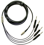 BTPA.com AS-4QTRS-XX Mini Amp Gizmo to (4) 1/4" TRS Cable