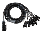 39 pin female (W1 compatible) to 12 XLR Male fan cable