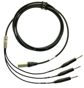 4 pin XLR Male to (3) 1/4" TS switching cable for 2 rock amplifiers