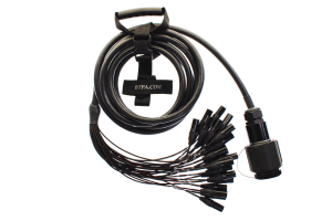 85 pin multipin inline female connector to 24 XLR male fan out cable