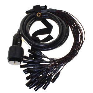 100 Pin multipin to (32) XLR Fan out cable